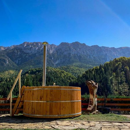 Panorama Pietrei Craiului Hotell Zărneşti Exteriör bild