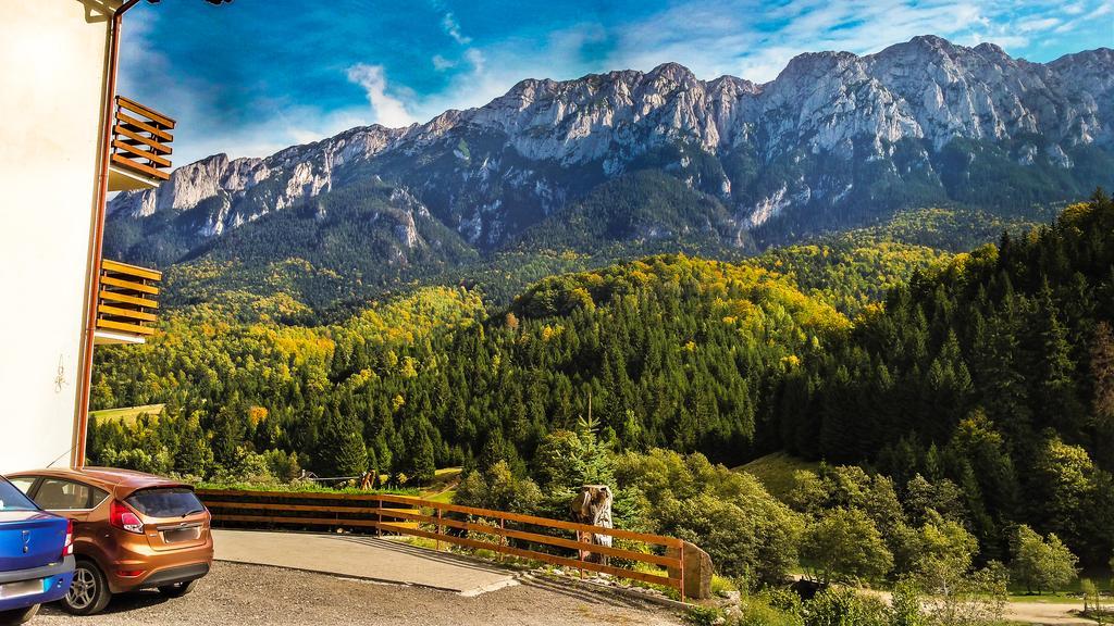 Panorama Pietrei Craiului Hotell Zărneşti Exteriör bild