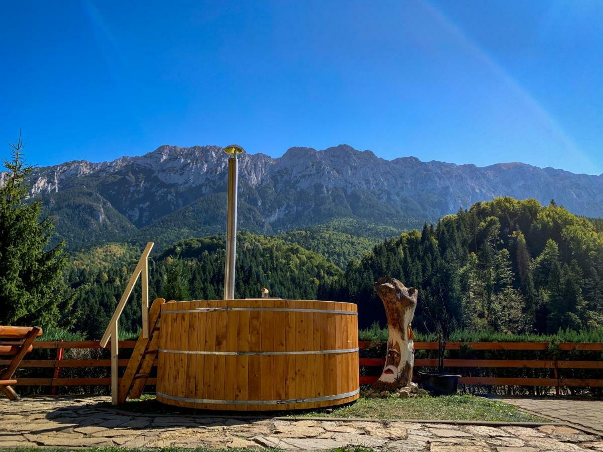 Panorama Pietrei Craiului Hotell Zărneşti Exteriör bild